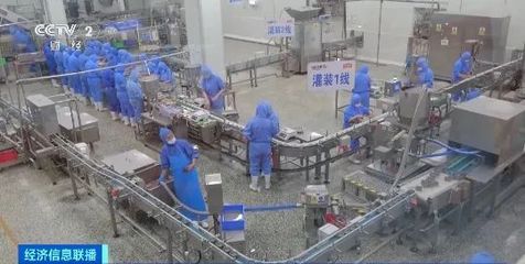 寵物食品出口火熱 4個月突破30億元，創歷史新高